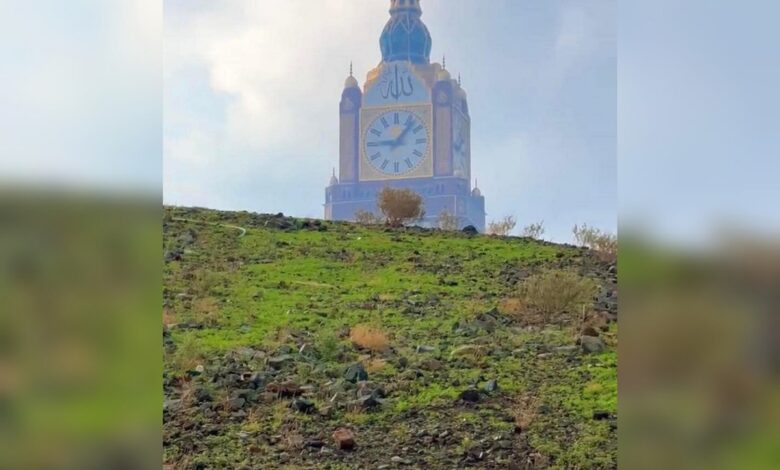 Watch: Mountains in Makkah turn green once again after heavy rainfall
