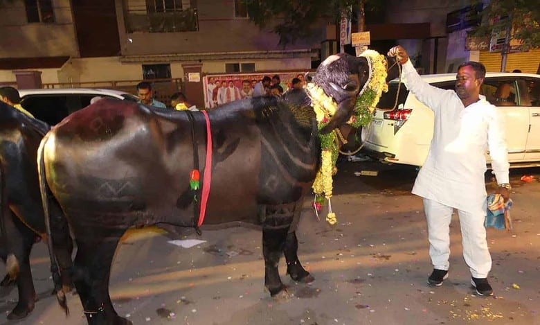 Sadar festival in hyderabad