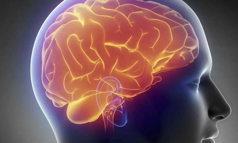 Being bilingual may help you better ignore irrelevant information