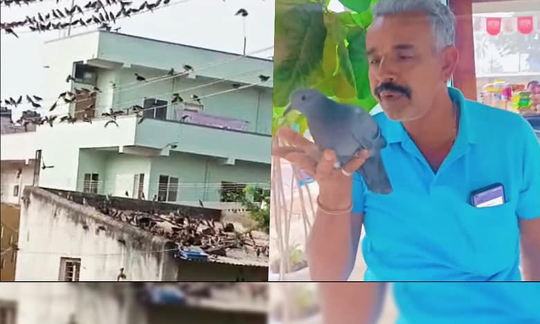 Haveri Resident Tikmarama Chaudhary Emerges as a Guardian Angel for Avian Population in the Face of Decline