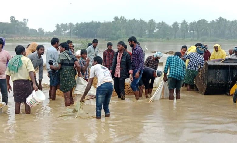 Cyclone causes extensive damage to crops