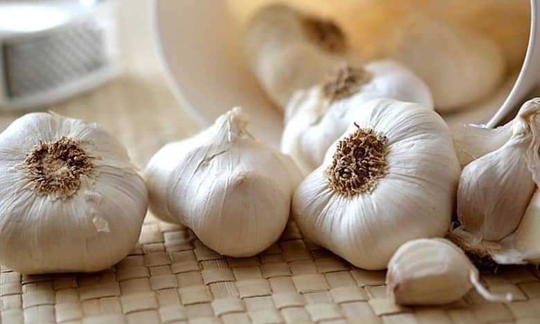As garlic turns gold in MP, farmers deploy armed guards, CCTVs