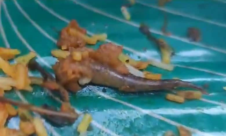 Lizard tail found in Biryani, restaurateur say its fish biryani
