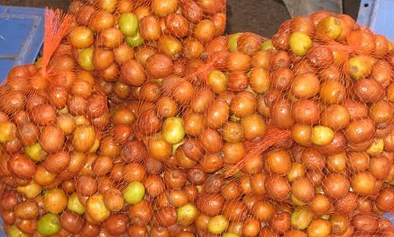 Sweet winter delight: Ber fruit carts dot Hyderabad roads