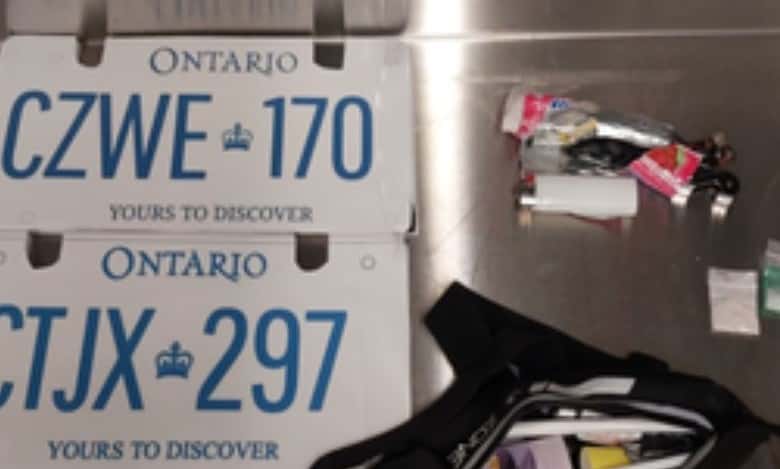 fake cardboard licence plates