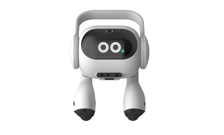 AI robots strive to become our personal assistants at home