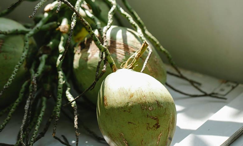 Karnataka: Arecanut cultivation surges transforming agricultural landscape