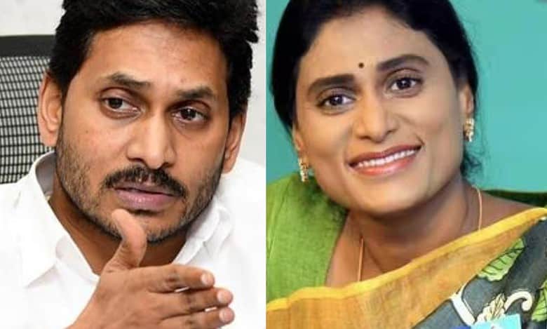 AP: YSRCP downplays Y S Sharmila's move to join Congress