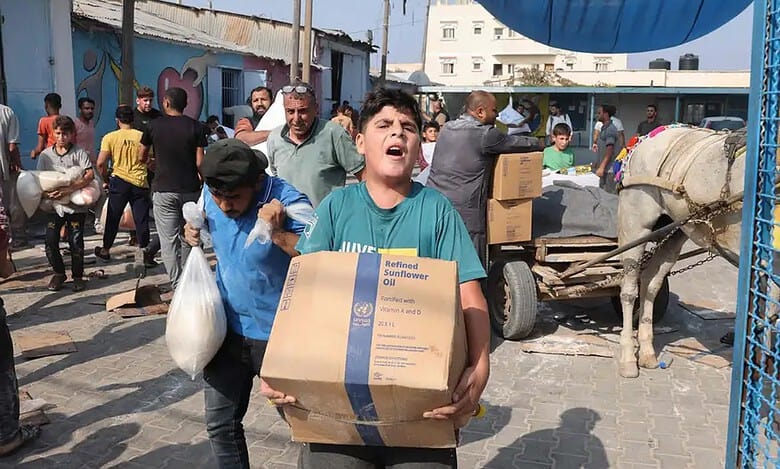 Food distribution in Rafah suspended due to security situation