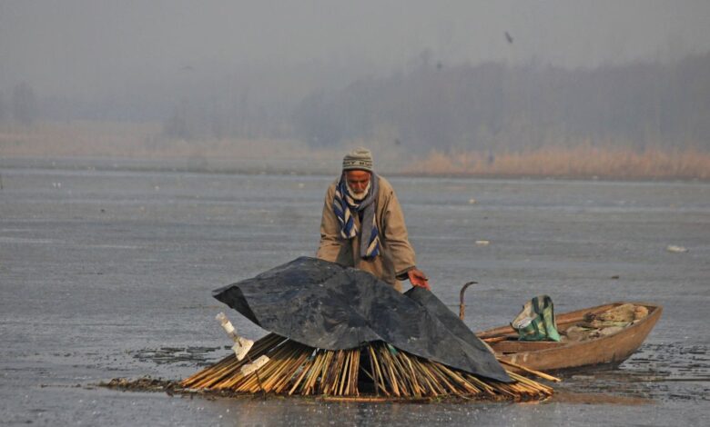 Kashmir: Fishermen begin 'shadow fishing' in Anchar Lake