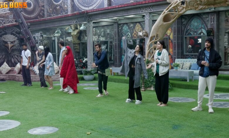 Top 8 contestants of Bigg Boss 17: Munawar Faruqui to Arun