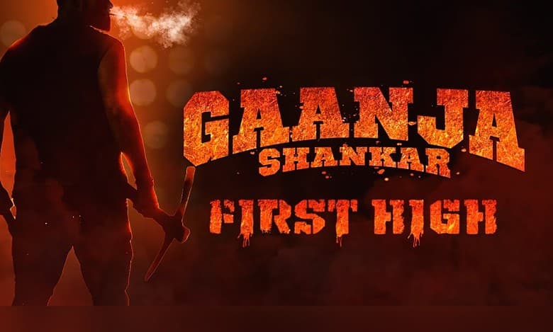 Hyderabad: 'Gaanja Shankar' film in trouble for 'glorifying drugs'