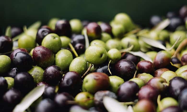 Kuwaiti: Man files for divorce over wife’s love for olives