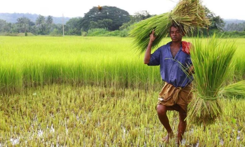 UDF accuses Kerala govt of 'carelessness' towards farmers' plight