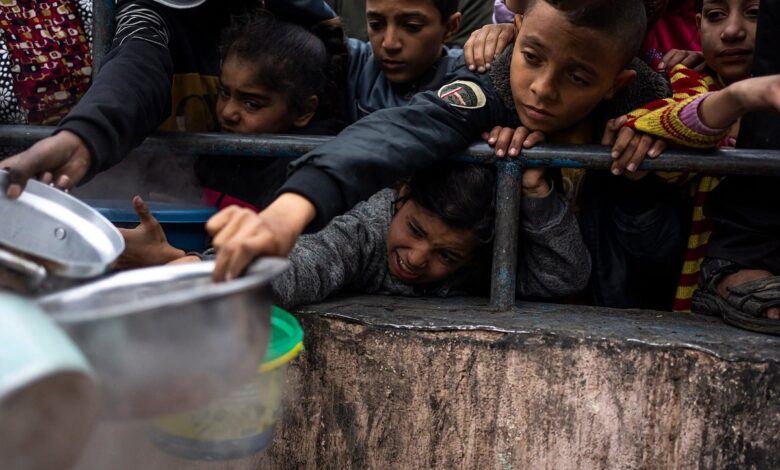 One in 3 children in Gaza is acutely malnourished: UNRWA