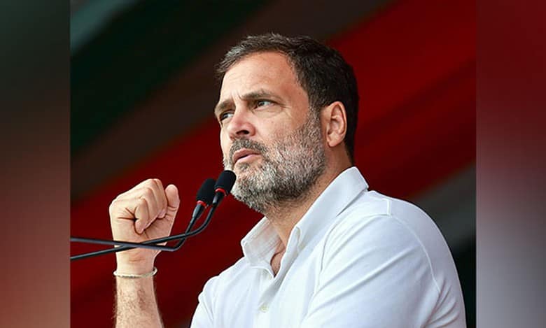 Rahul Gandhi to file nomination from Wayanad on Wednesday