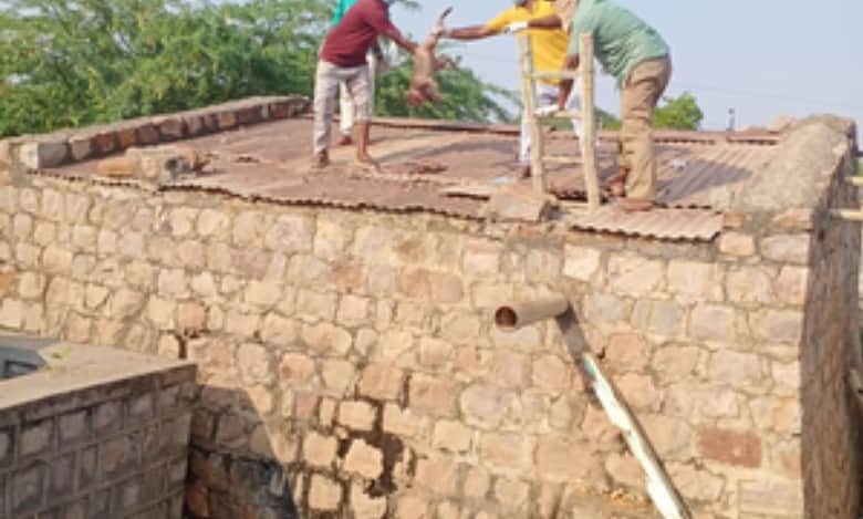 30 monkeys found dead in water tank