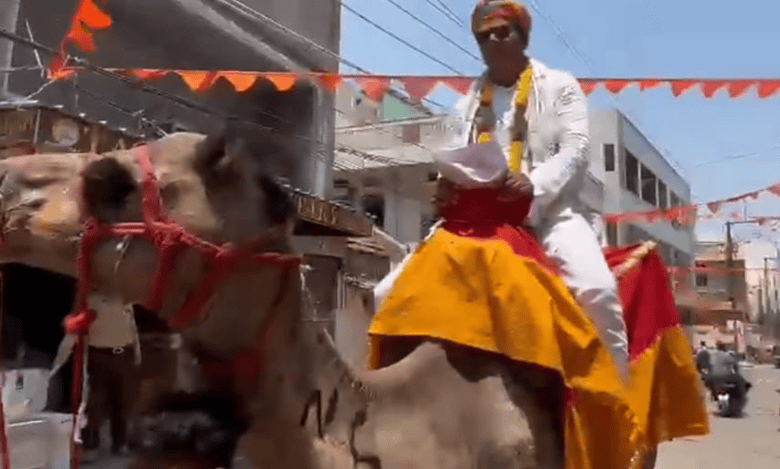 Watch: Independent candidate from Hyderabad rides camel to file nomination