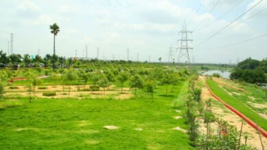 Hyderabad: Musi Riverfront draft master plan to be ready by August