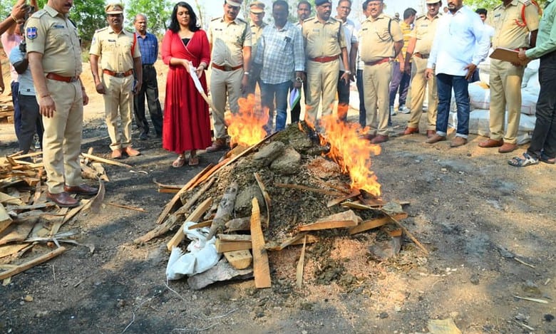 Hyderabad: Police sets 2043 kg ganja worth Rs 5.1 crore on fire