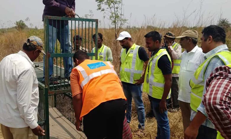 Hyderabad: More cages put to catch stray leopard near airport