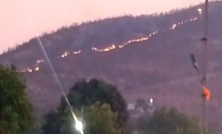 Wildfire breaks out in forest area