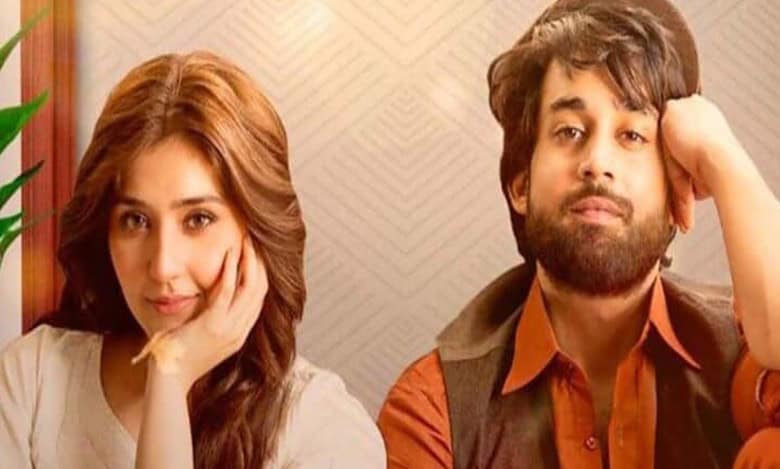Viewers from India, Pakistani slam Ishq Murshid makers, know why