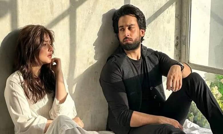 Ishq Murshid last episode: Shibra and Shahmeer to get divorced?