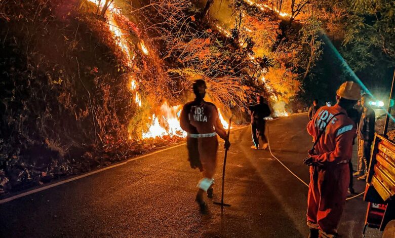 Forest department personnel try to control a fire