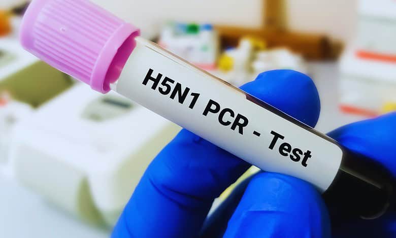 Australia reports first human case of H5N1 bird flu
