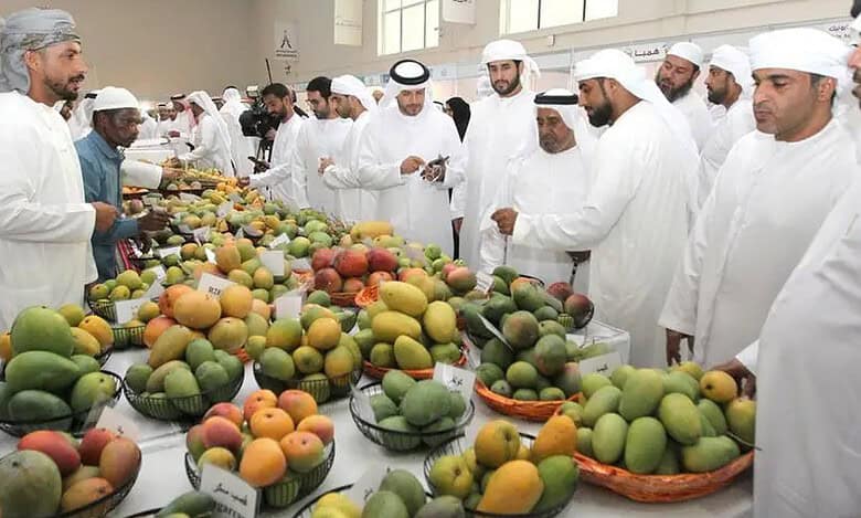UAE: Mango Festival 2024 kicks off at Expo Khor Fakkan