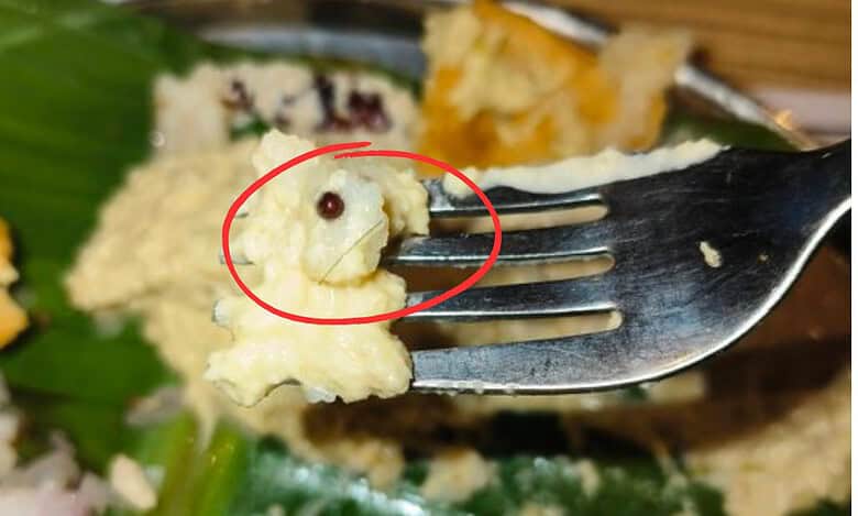 Restaurant in Hyderabad fined Rs 5000 over hair in chutney