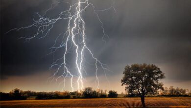 Lightning strikes claim nearly 300 lives in Bangladesh