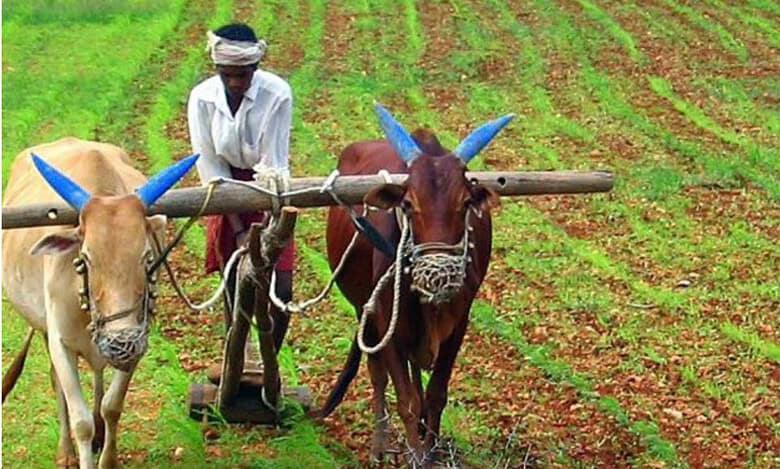 Though agricultural operations have picked-up across the state for the present Kharif 2024 crop season, the farmers are being cautious, as 11 districts have received deficit rains this month.