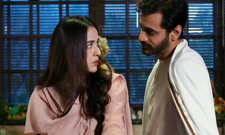 Wahaj Ali, Yumna Zaidi's Tere Bin 2: Update on cancellation news