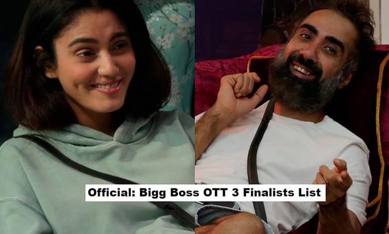 Names of TOP 5 finalists of Bigg Boss OTT 3, Lovekesh out