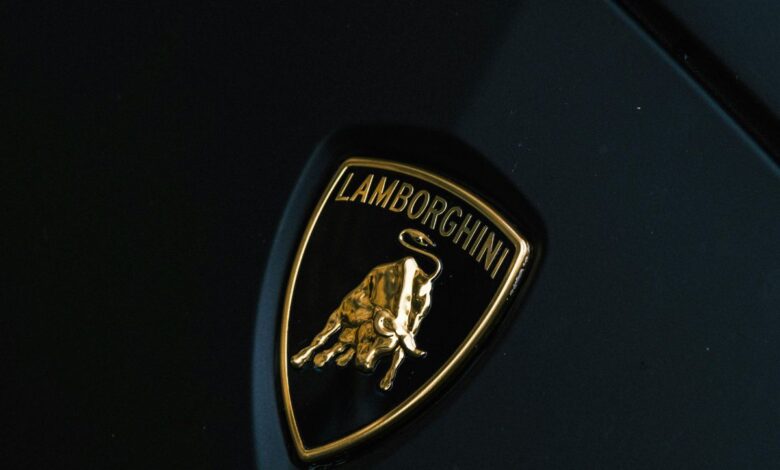 Lamborghini bought by Valmiki Corp scam accused in Hyderabad returned