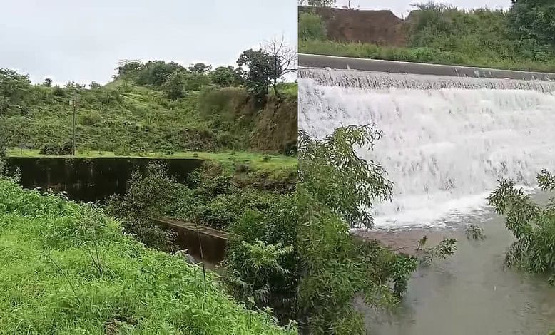 Goa govt objects to Mahadayi water share of Karnataka