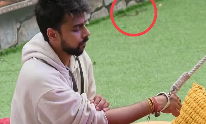 Snake spotted in Bigg Boss OTT 3 house, video goes viral