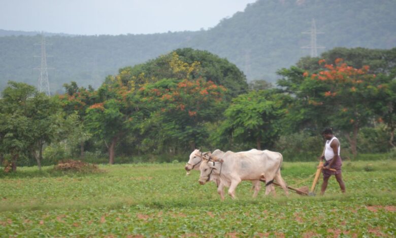 Telangana govt issues guidelines for implementation of crop loan waiver