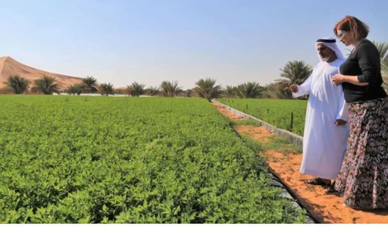 UAE to invest $2.7 mn to boost agricultural infra for Arabs in Israel