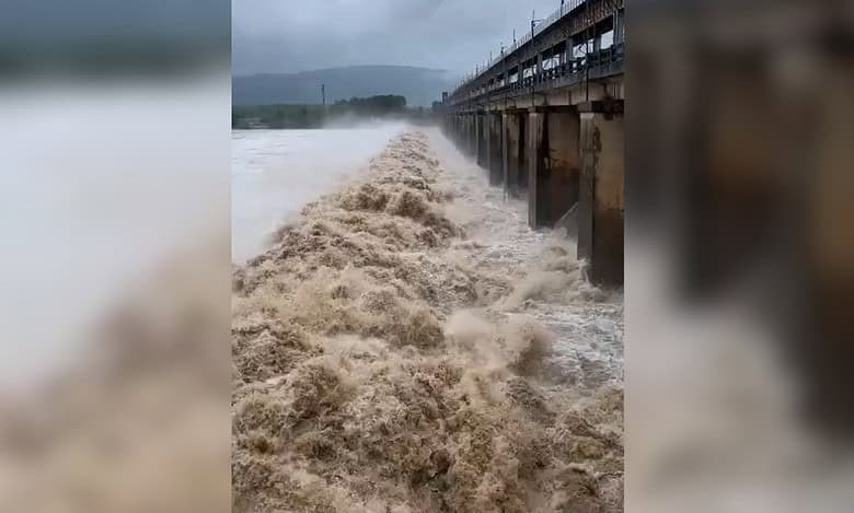 110 Telangana villages may submerge if Godavari water-level crosses 73 ft