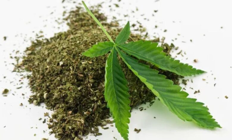 Telangana is known to be the gateway of the narcotic drug that comes from as far as Odisha, the Naxal-infested Andhra-Odisha border, and the Bhadrachalam agency area.