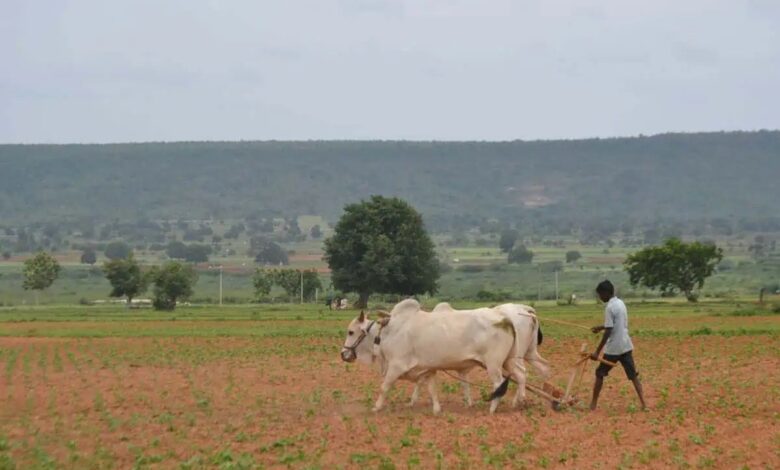 State government to roll-out the second phase of farm loan-waiver on Tuesday.