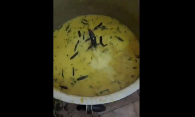 Netizens claim rat found in 'chutney' at JNTUH Sultanpur mess, share video