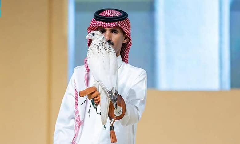 Peregrine falcon chick sells for record Rs 89L at Saudi auction