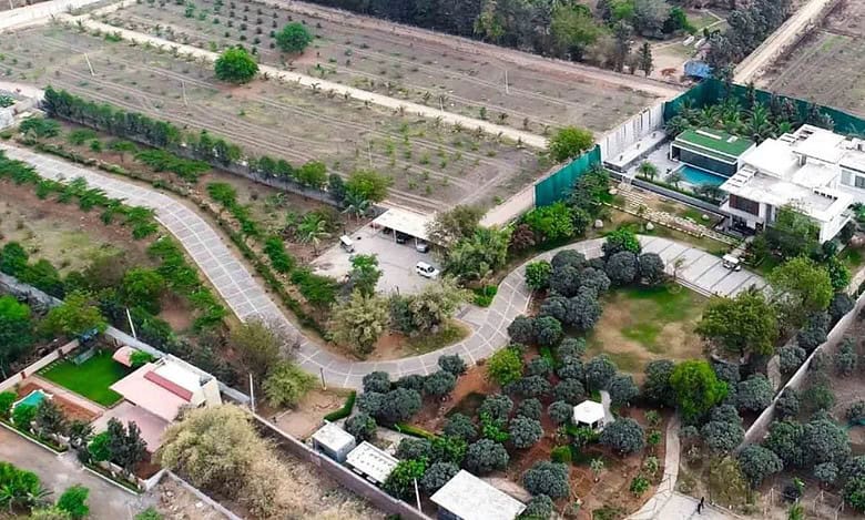 The High Court asked HYDRAA to follow due procedures before taking any action against Janwada farmhouse owned by B Pradeep Reddy.