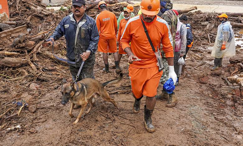 Wayanad disaster toll reaches 413, search for missing 152 continues