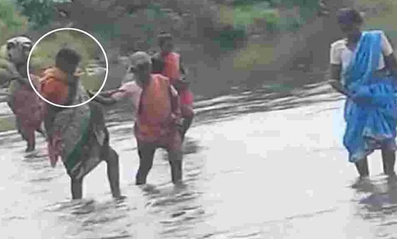 The incident happened on Friday, at Venkatapur Gram Panchayat in the Asifabad mandal of Komuram Bheem Asifabad district.
