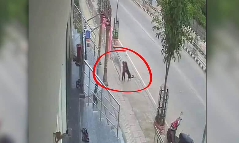 Stray dog attacks 18-month-old toddler in Karimnagar